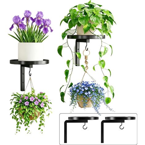 Lot de 2 Support Mural Plante Porte Plante Interieur Avec Crochets (1/5)