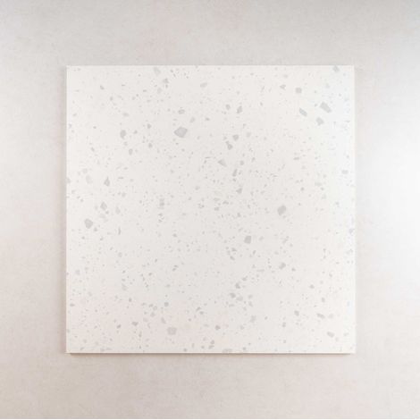 Carrelage Effet Terrazzo VENICE 60x60 cm Zinc (1/2)