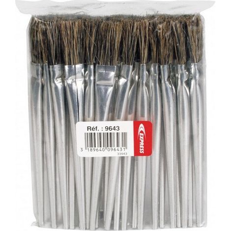Pinsel aus Pferdehaar x 25 (1/3)
