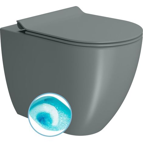 Cuvette de WC PURA, Swirlflush, 36x55cm, Siphon en S/Siphon en P, agave double mat (1/2)