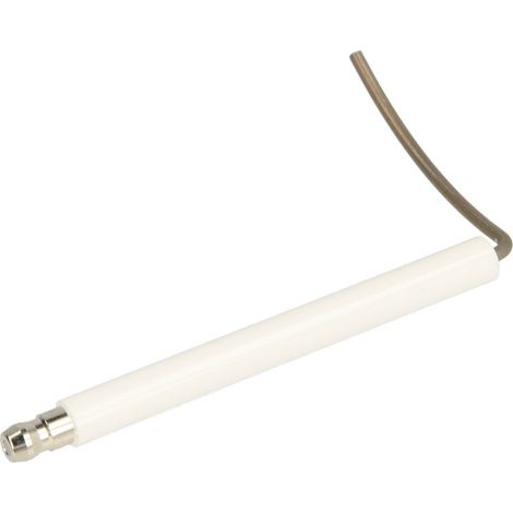 Electrode d'ionisation