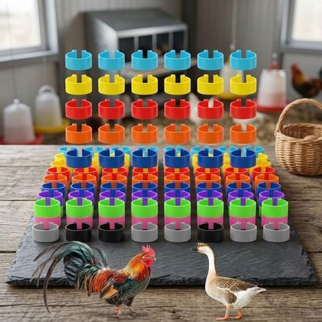 100 Bagues Numérotées 16mm pour Poules et Canards(There are characters)  100 numérotées, 9 couleurs vives, suivi généalogique pour facile, pour idéal poules et canards, gestion efficace (1/5)