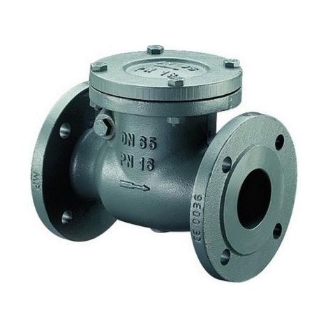 Bosch Installationszubehör RK16-50 Rückschlagklappe PN 16 / DN 50, 7736602665 (1/2)