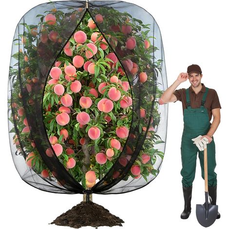 Filet de protection contre les oiseaux pour arbres fruitiers, 240 x 240 cm, avec cordon de serrage et fermeture éclair, grand format, pour arbres fruitiers de jardin. (1/5)