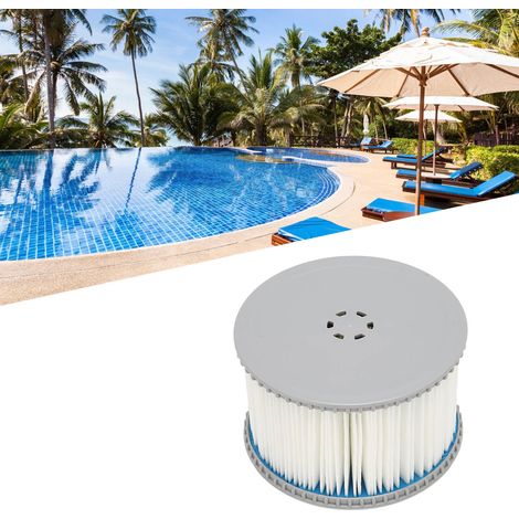 Filtre à Cartouche pour Piscine Gonflable Enfants et Spa Hivernal Compatible avec Divers Modèles de Piscines (1/5)