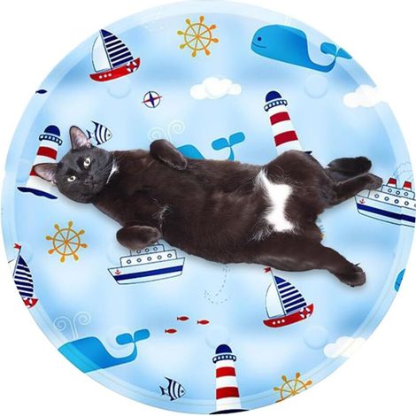 Tapis rafraîchissant pour Chat pour l'intérieur Tapis