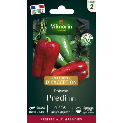 Sachet graines Poivron PREDI HF1 (1/3)