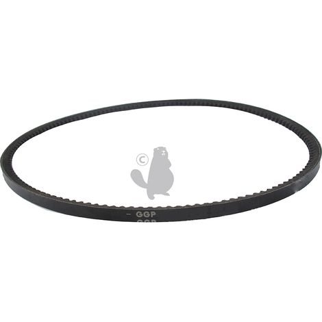 Cinghia dentata tosaerba GGP - 135064010/0