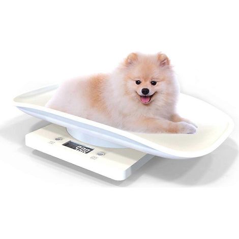 Balance électronique numérique pour animaux, pèse-chien et chat portable avec écran LCD, idéale cuisine et alimentation (1/5)