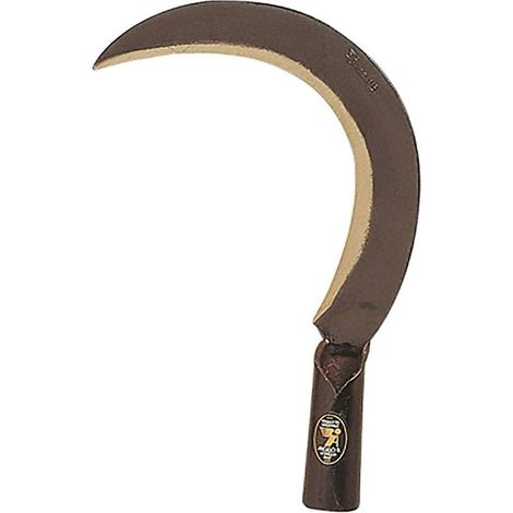 RONCOLA 'SCANSANO' cm 26