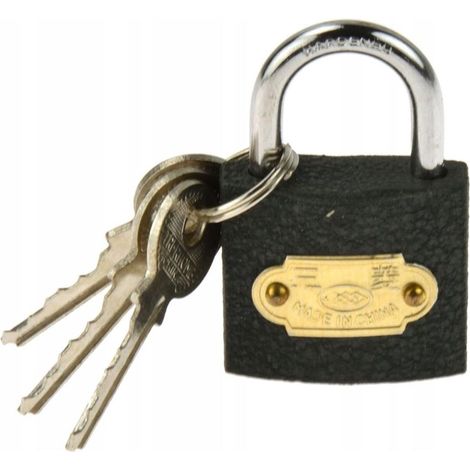 Geko Cadenas Hasp Gris Argenté 32 mm Sécurité (1/3)