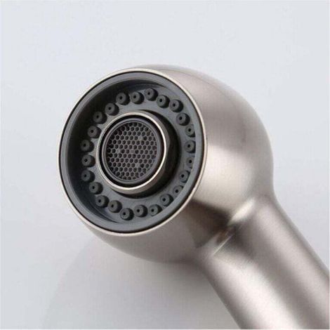 Douchette Robinet Cuisine 2 Jets Tête de Douche Remplacement Douchette pour Mitigeur Cuisine,Nickel Brossé (1/3)