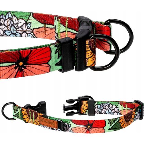 Collier à double verrouillage pour grand chien, golden retriever, berger, L 25 mm, Ukory (1/5)