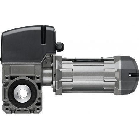 Moteur 230vStaiw Mono Avec Rail Porte 3500 Fdc Meca Sans Commande Marantec Mfz Ovitor