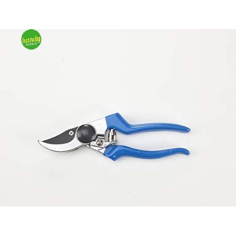 Forbici giardino swiss 21 cm