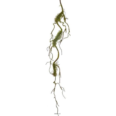 Branche de liane artificielle ramifiée avec mousse réaliste H 102 cm Vert forêt - dimhaut: H 103 cm - couleur: Vert forêt
