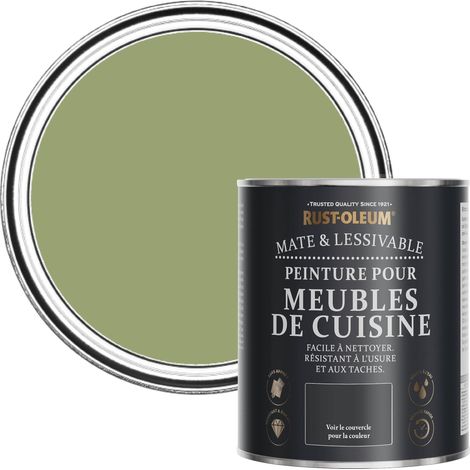 Peinture Verte pour Meubles de Cuisine, Finition Mate Gris - Terrain Connu 750ml (1/5)