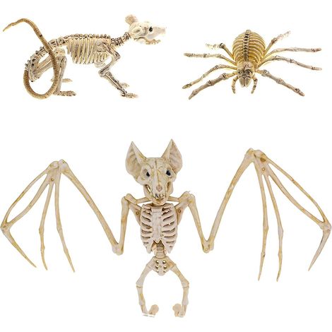 3-teiliges Halloween-Set: Fledermaus-Skelett, Halloween-Spinnen-Skelett, Halloween M