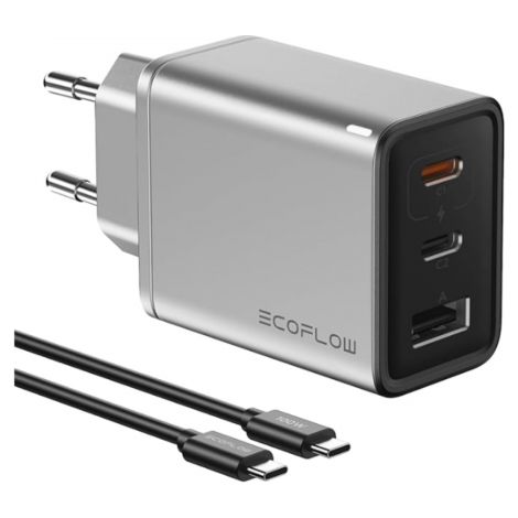 EcoFlow RAPID 65 W Universal Plata Corriente alterna Carga rápida Interior (1/4)