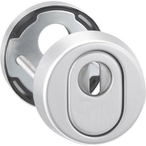 EDI Haustür-Schutz-Schlüsselrosette 7156,PZ,RH15,edelstahl (1/4)