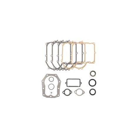 Kit Joints Moteur Pour Briggs 28M707 Joint Carburateur 28D707 286707 289707 494525 494241