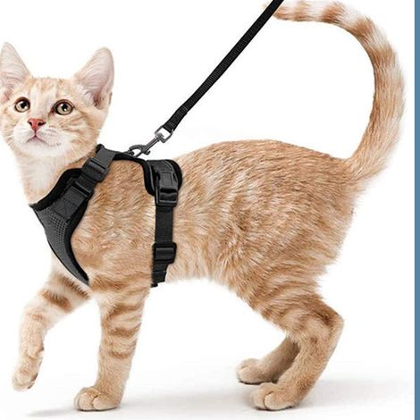 Harnais avec Laisse pour Chat, Petit Chien et Lapin Noir Taille S, Gilet Réfléchissant Ajustable Anti-fugue (1/3)