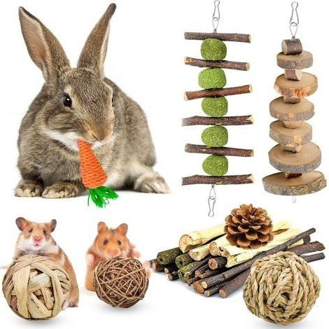 Lot de 10 jouets à mâcher pour hamster - En bois naturel - Pour petits animaux - Pour soins dentaires - Pour chinchilla, lapin, cochon d'Inde (1/5)