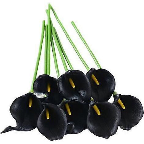 12 branches artificielles de callali commun avec tige, réalistes et réutilisables, pour la maison, les mariages et les fêtes.noir (1/5)