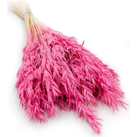 Avena secca - Fucsia