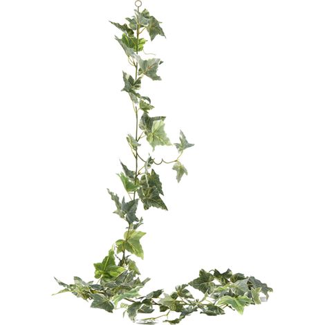 Festone Edera artificiale variegato colore verde h 180 cm
