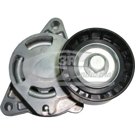 3RG 13651 RODILLO TENSOR