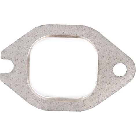 Dichtung CNH 98489690 (1/2)