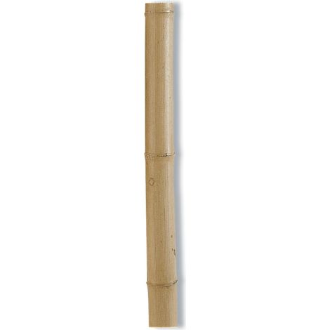 Nortene – Tuteur bambou décoratif 2,4m – Diamètre 100/120mm – Pour maintien de plantes – Style authentique et exotique (1/4)