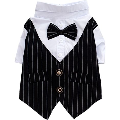 Chemise de smoking rayée pour chien, costume formel avec nœud papillon, déguisement élégant pour animaux de compagnie, chemises de mariage élégantes pour chiens prince avec nœud papillon