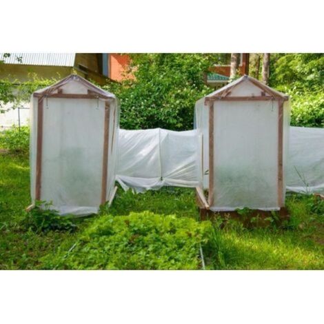 Bache pour Serre,Bache Plastique Transparente, Bache Serre Tunnel 3m x 6m, Film Polyéthylène de Extra-épais Clair Jardin Grandir Couverture De Polytunnel pour Légumes und Tomate (1/3)
