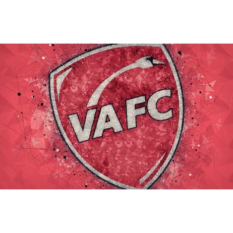 Papier peint panoramique Foot / Football - VA FC - Valenciennes Football club - 130 cm x 81 cm (1/2)