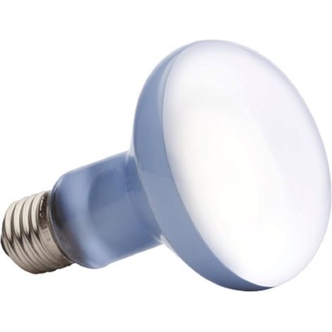 Uva + uvb Reptile Lampe Ampoule Tortue Basting Uv Ampoules Lampe Chauffante Amphibiens Lézards Contrôleur De Température - 100W (1/5)