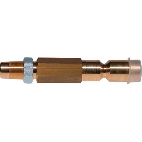 Riello 3007467 – Sprühgerät