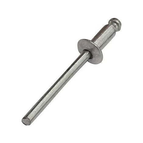 QAZQA 100 Rivets aveugles 4x8mm
