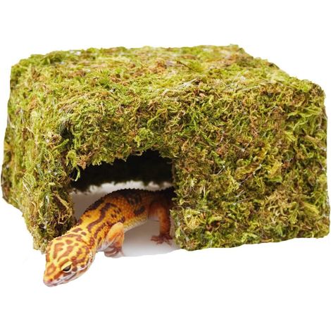 Cachette en Mousse Naturelle pour Reptiles et Lézards Grotte Humide pour Terrarium Vivarium (1/5)