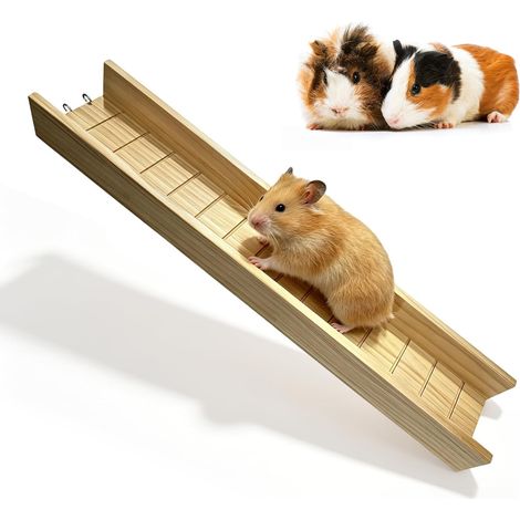 Rampe d'escalade pour cochon d'Inde, accessoire pour hamster - 60 cm de long - Chevalet en bois pour petits animaux, écureuils, rats, chinchillas (1/5)