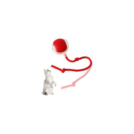 Balle interactive pour chat, jouet électrique à mouvement automatique pour chat, balle roulante pour exercice d'intérieur pour chat, rechargeable par USB (1/5)