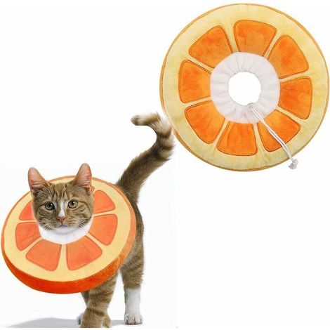 Colliers pour Chats Chiens Collier de Protection Confort Ajustable Collier Postopératoire de Récupération Protection Anti-Morsure (Orange, M)
