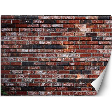 Carta Da Parati, Muro di mattoni rossi - 200x140 (1/5)