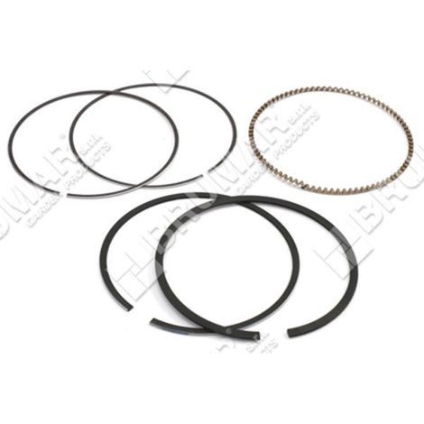 BRIGGS & STRATTON Segmentbausatz – 026018