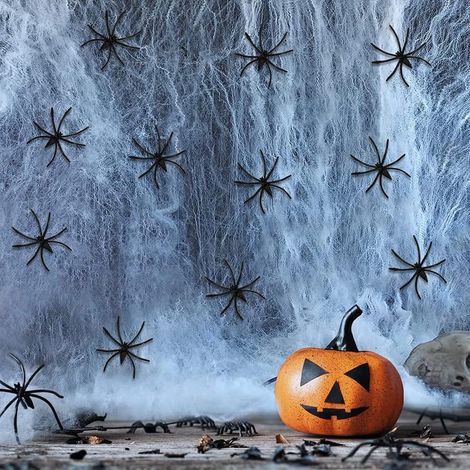 Lot de 30 Toiles d'araignée en Plastique - 60 g - Décoration effrayante pour Halloween - pour extérieur, intérieur, Jardin, Table à Manger, Porte, Plafond, fenêtre, Maison hantée - Décoration (1/5)