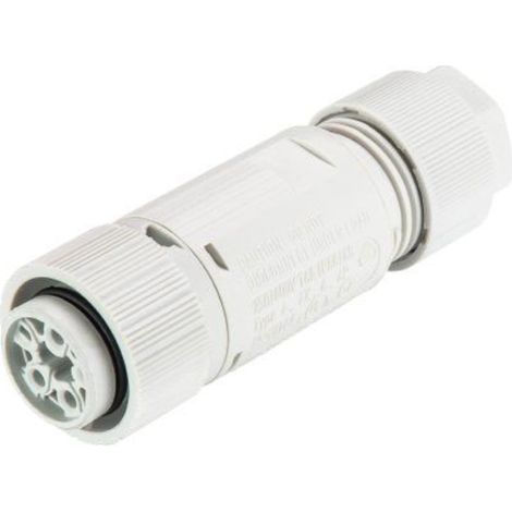 Wieland-electric RST MINI Stecker hellgrau 3-polig