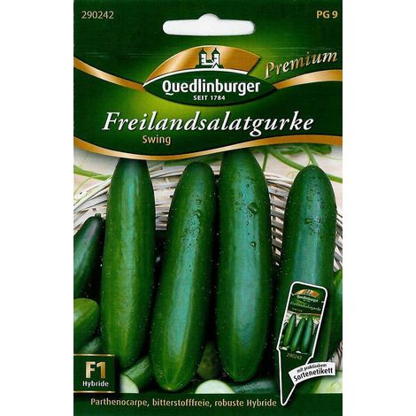 Quedlinburger Freilandsalatgurken Swing - Gemüsesamen (1/2)