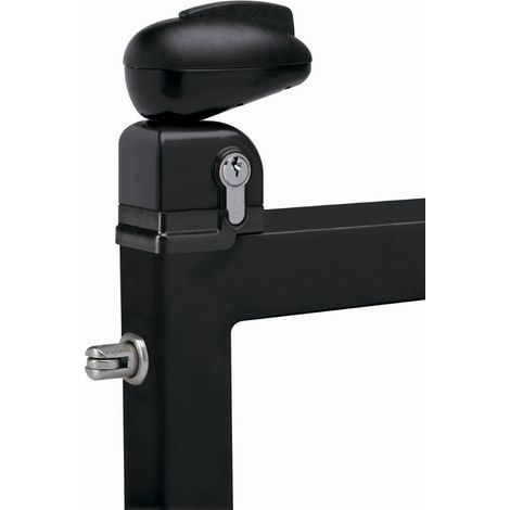 Serratura Twist per cancello piscina LOCINOX - nero ral 9005 - TWIST 40 9005