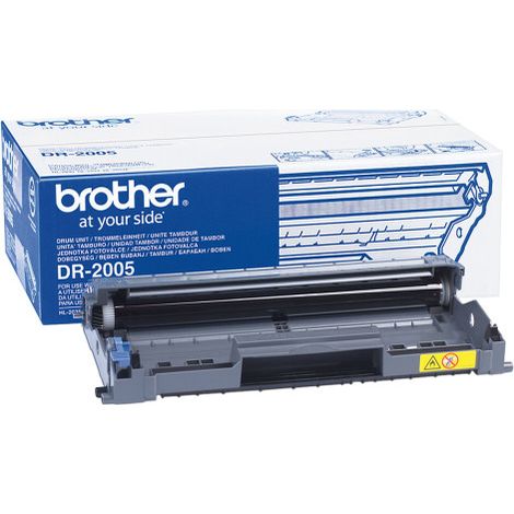 Brother Drum DR-2005 Nero per Stampante HL-2035 (1/3)